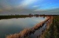 River Hull looking towards Pulfin Bog
