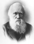 darwin